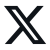X_Icon